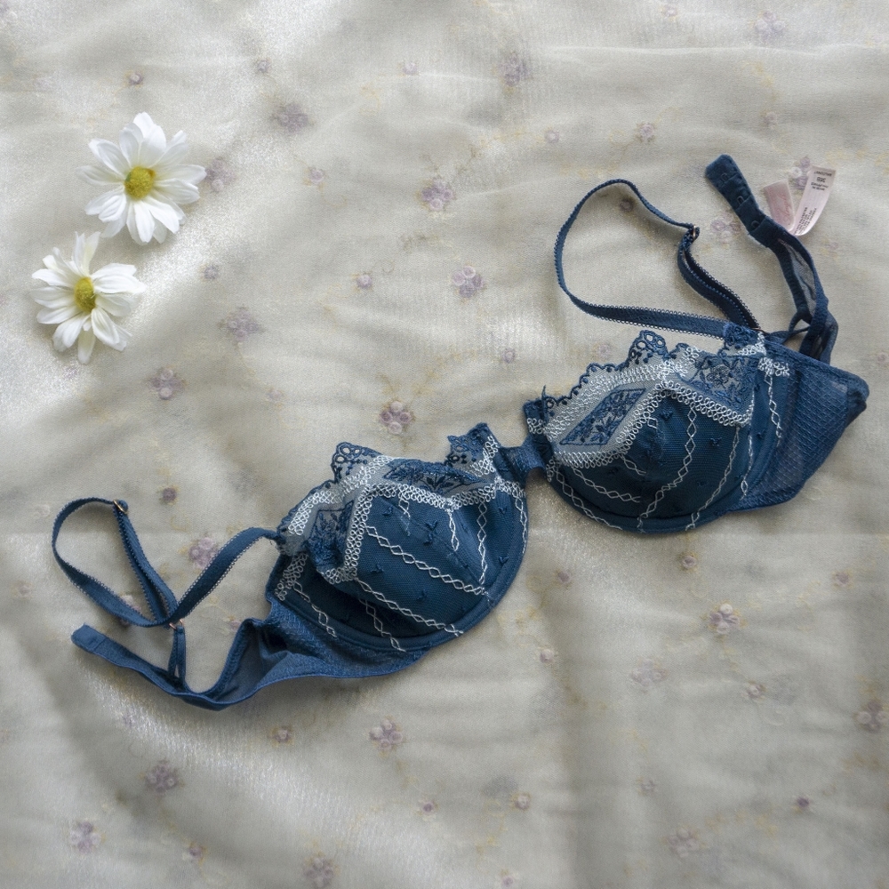 Blue embroidered bra